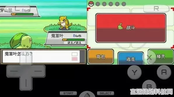 口袋妖怪火红版，全面解析金手指升级攻略