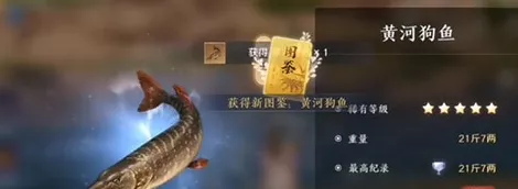 黄河鲤鱼王现身天涯明月刀手游，刷新时间与地点全揭秘