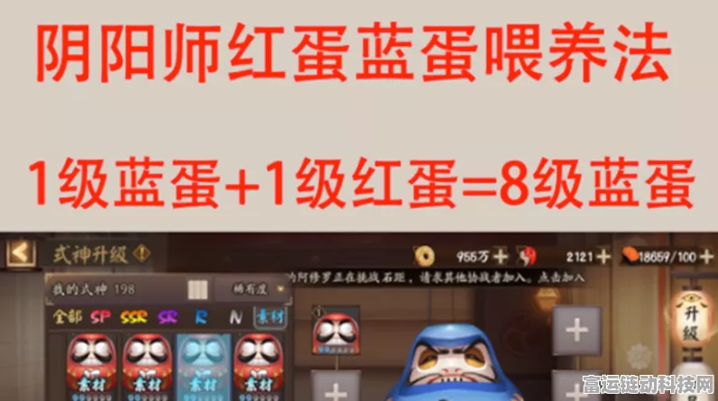 阴阳师高手秘籍，揭秘红蛋高效培养策略，助你称霸斗技场