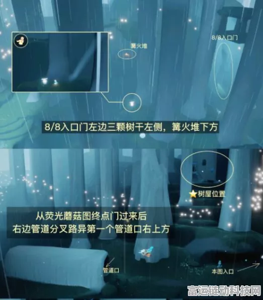 光遇庇护所先祖聚集任务深度攻略，解锁隐藏奖励，速通秘籍大公开！