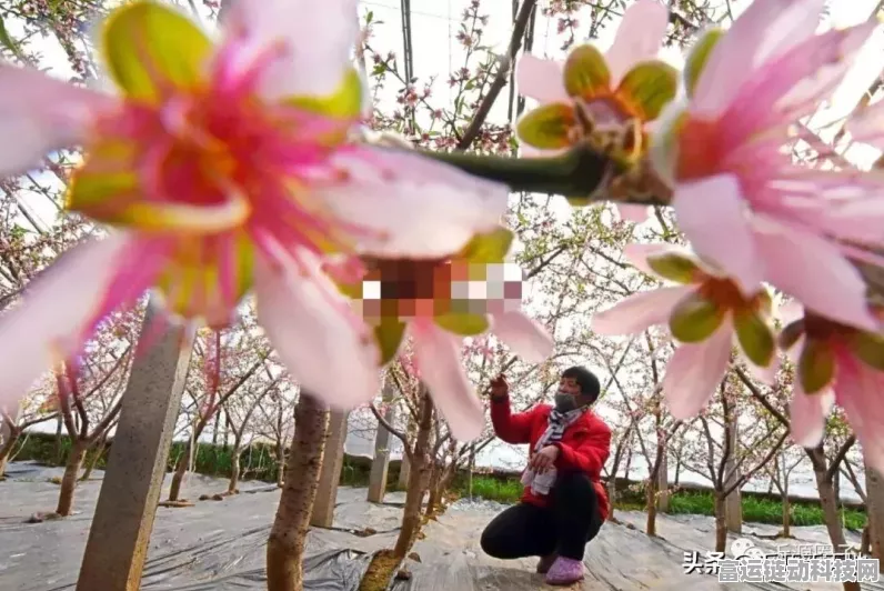 绝美花海打卡攻略，揭秘无限暖暖拍摄圣地与拍照秘籍