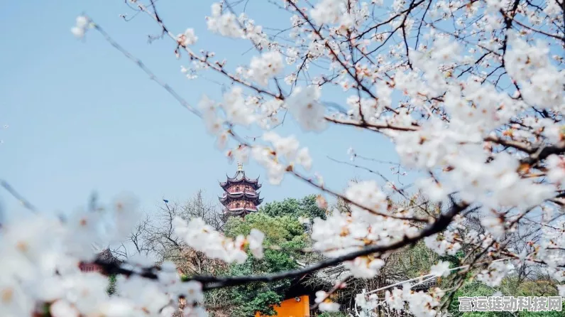 绝美花海打卡攻略，揭秘无限暖暖拍摄圣地与拍照秘籍