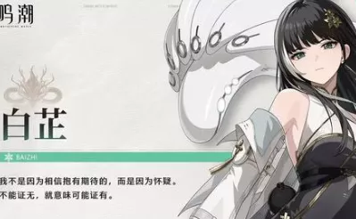 鸣潮白莲技能深度剖析，战场主宰，冷凝伤害制霸策略