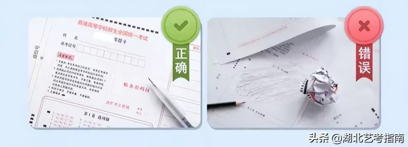 2022我的世界全生物图鉴终极指南，解锁方块世界的生物奥秘