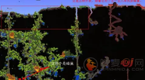 泰拉瑞亚深度攻略，揭秘蜂王召唤物的合成秘籍
