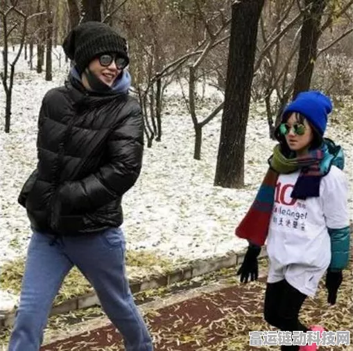 射雕手游顶级装备套装解锁秘籍，深度攻略与实战技巧