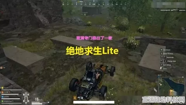 绝地求生电脑版免费开放，新手快速上手攻略与赛事亮点
