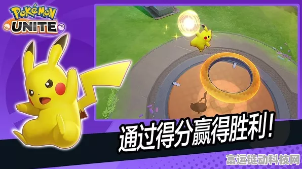 独家揭秘，宝可梦大集结杰尼杰尼杯全攻略及精彩赛程亮点