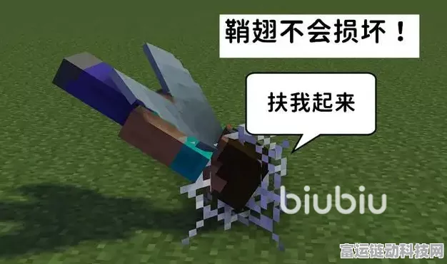我的世界手游鞘翅获取攻略及飞行技巧大揭秘！