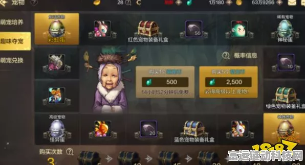 DNF手游韩服宠物获取全攻略，解锁萌宠，战力飙升！