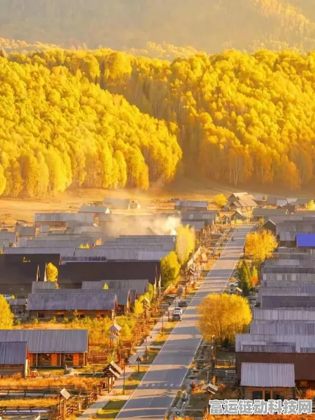 炉石传说，胜地历险记顶尖猎人卡组构筑与实战策略揭秘