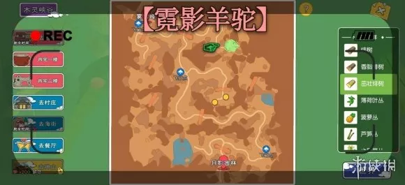 小森生活手游攻略，解锁羊驼毛卷制作秘籍，打造梦幻家园！