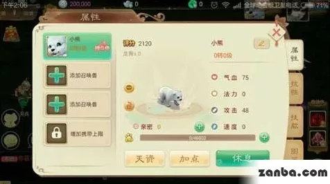 大话西游手游，顶尖任务宠物选择攻略，助你飞速升级称霸三界
