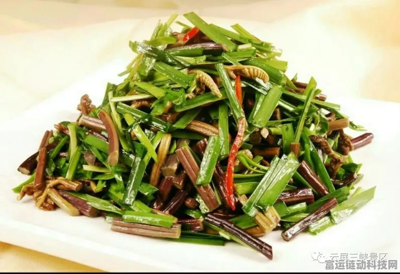 幻塔美食探索，蕨菜饼的完美制作秘籍及奇妙作用
