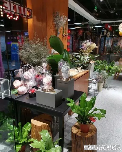 动物餐厅家具攻略，巧妙叠加与最优购买顺序揭秘