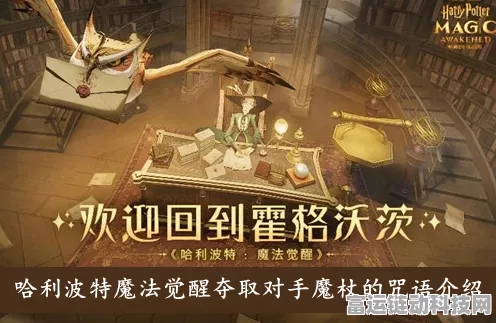 哈利波特，魔法觉醒——揭秘决斗场中夺取魔杖的神秘咒语！