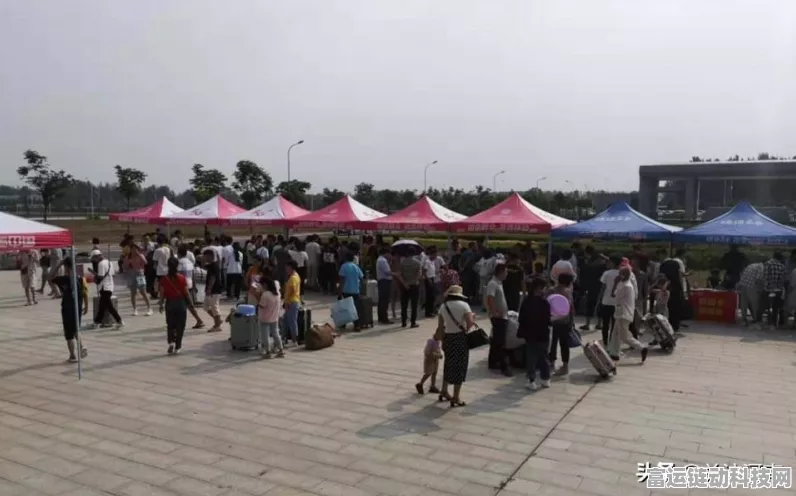 炉石传说，揭秘永恒之火属性的炽热魅力与竞技策略