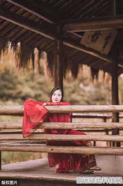 绯色回响国际服全解析，服务器分布与国服差异大揭秘