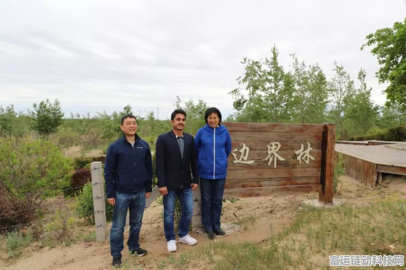 鸣潮手游探索指南，揭秘今时关城最佳拍照位置与打卡攻略