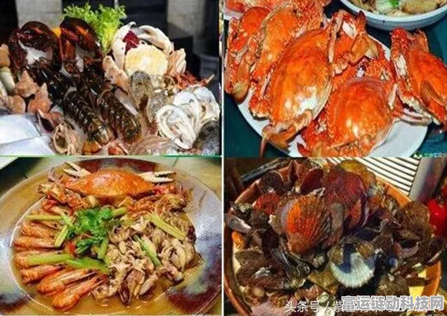 洛克王国，云海探秘拾贝大赛深度攻略，珍稀奖励等你拿，海洋霸主之路！