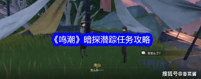 鸣潮探险指南，揭秘捣蛋猿洞穴任务全攻略